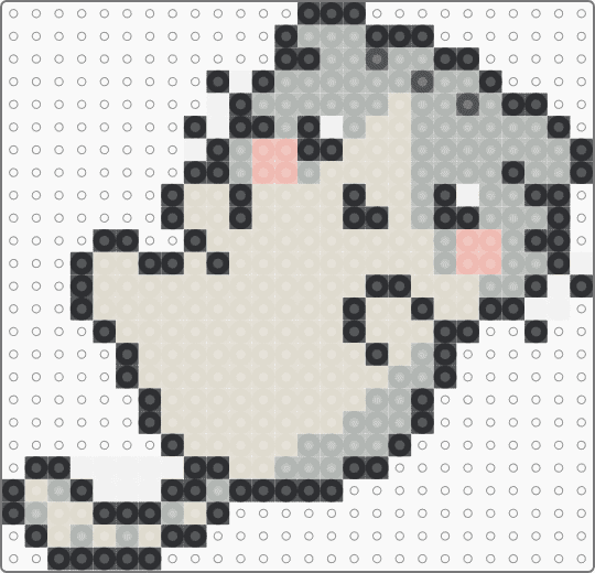 kitten