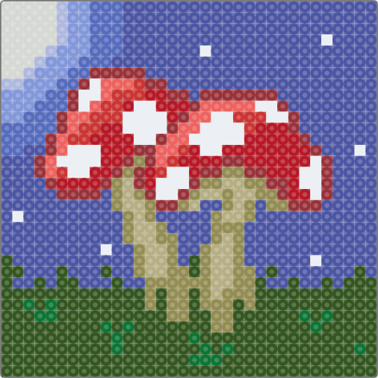 Night Mushrooms