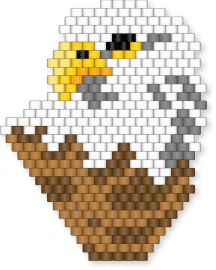 ‘MERCAN EAGLE 🦅🇺🇸🦅🇺🇸🦅 - bird, brown, charm, cotdmemorialdayusa2026, nature, panel, tan, white, yellow
