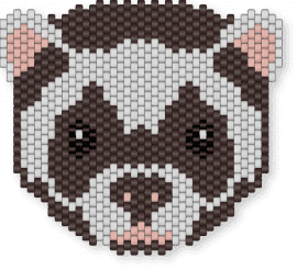 brown ferret - brown