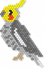 A beautiful cockatiel - beige, gray