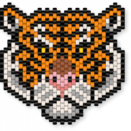 A Tiger - black,orange,beige