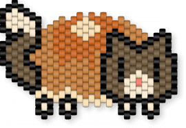 Pancake cat - orange,food,desert