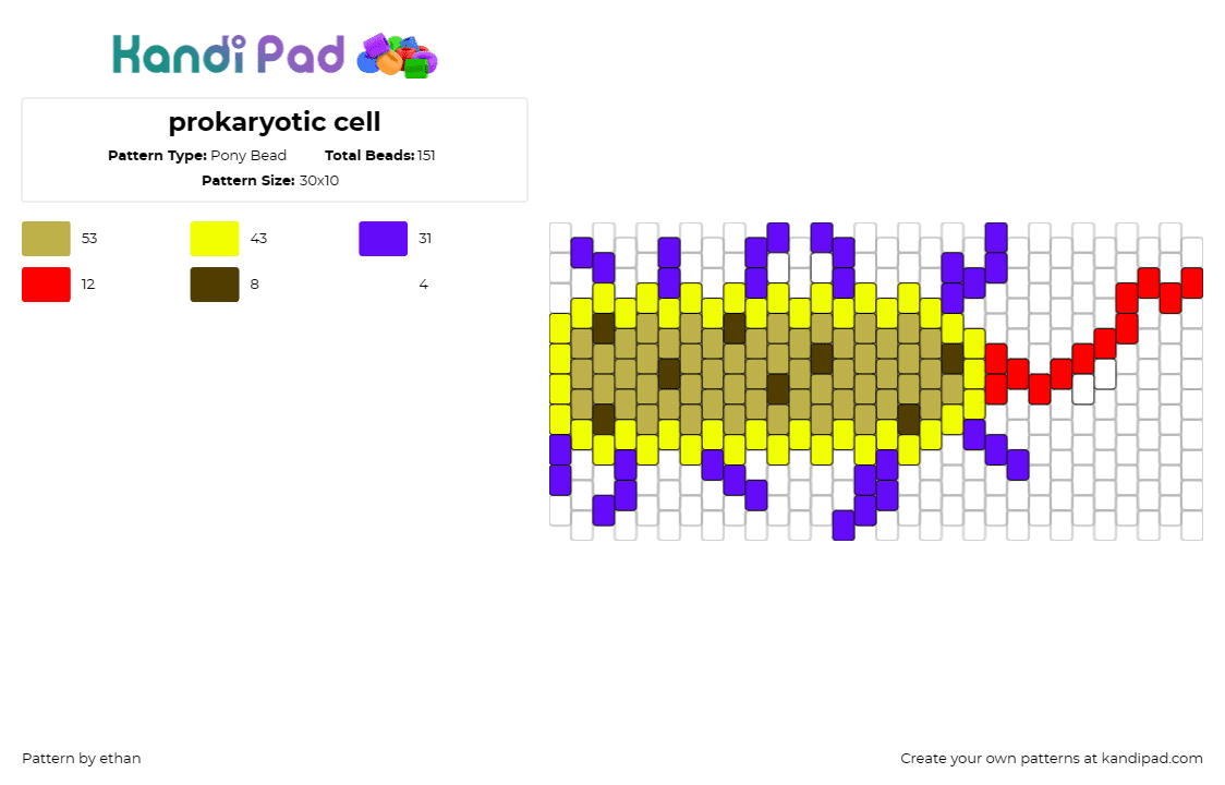 prokaryotic cell - Pony Bead Pattern by ethan on Kandi Pad - science,biology,cell,yellow,purple