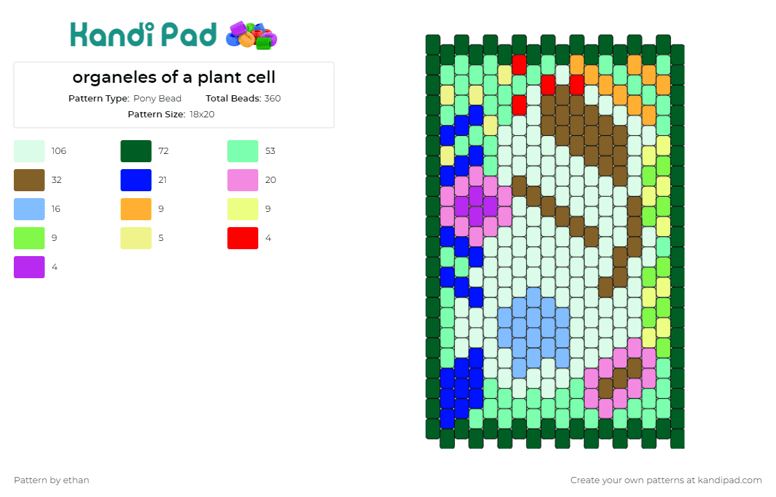 organeles of a plant cell - Pony Bead Pattern by ethan on Kandi Pad - plants,flowers,science,biology,panel