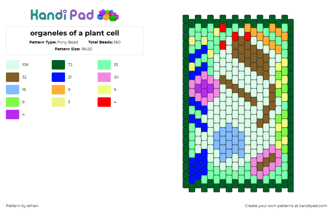 organeles of a plant cell - Pony Bead Pattern by ethan on Kandi Pad - plants,flowers,science,biology,panel