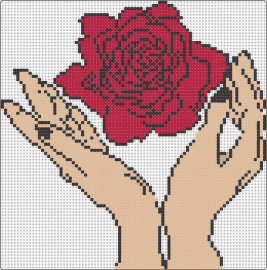 Rose - rose,hands,flower,bloom,botanical,care,tenderness,red,tan