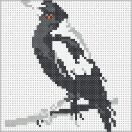 Magpie - magpie,bird,animals