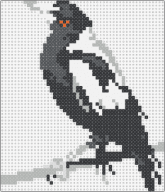Magpie - magpie,bird,animal,crow,black,white