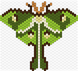 Moth2 - moth,insect,butterfly,winged,earthy,green,brown