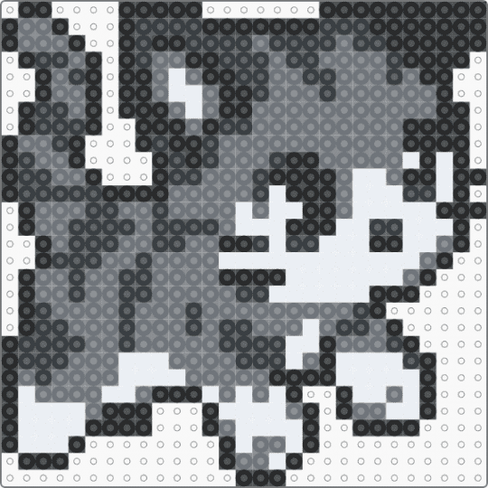 Gray kitten - gray,white,cat,kitten,kitty,stripe,cute,paws,tail