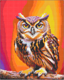 Owl - red and yellow background - owl,bird,animal,fiery,orange,red