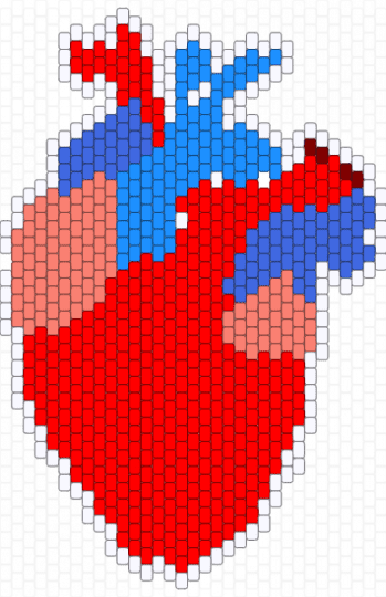 anatomical heart model panel - red