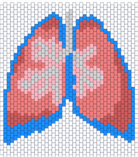 anatomical lungs panel - white,light blue,red