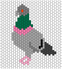 Pigeon - pigeon,bird,animal,city,gray,pink,green