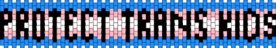 Protect Trans Kids Banner - lgbt, light blue, pink, pride, transgender