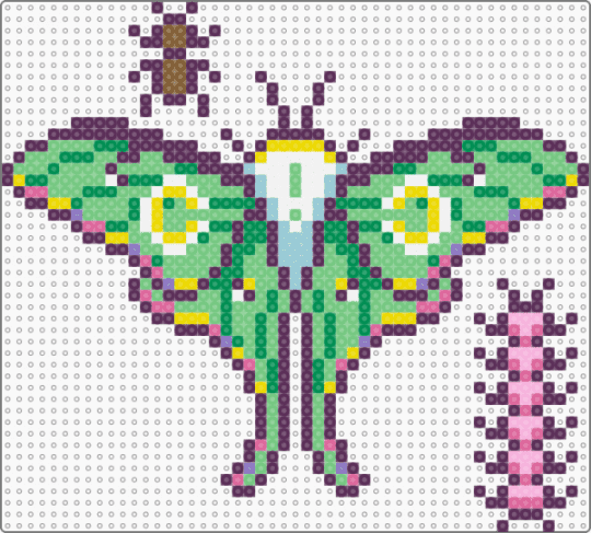 Bugs 2 - pink,teal,bugs,bug,moth,ant,centipede