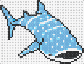 whale shark - whale shark,fish,animal,light blue,white