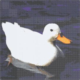 DUCK - 