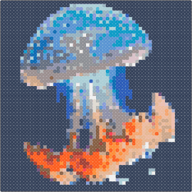 Jellyfish - jellyfish,ocean,water