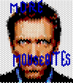 House md Mousebites - 