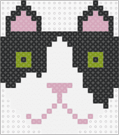 hen - cat,animal,head,black,white,pink