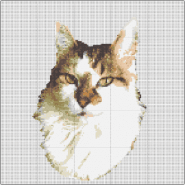 Regal Kitty Cat - cat,portrait,animal,pet,elegance,detailed,regal,warmth,sophistication,white,beige