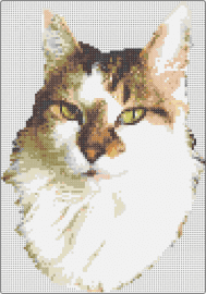 Regal Kitty Cat - cat,portrait,animal,pet,elegance,detailed,regal,warmth,sophistication,white,beig