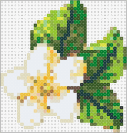 Jasmine Flower - jasmine,flower,nature,realistic,flora,fragrant,delicate,white,green