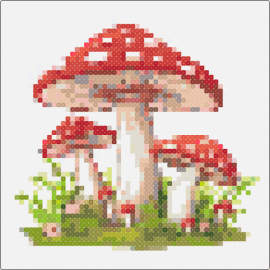 MUSHROOMS!!!!!! - 