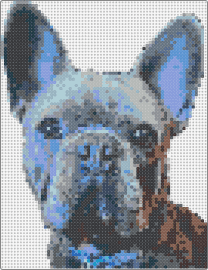 Frenchie - frenchie,french bulldog,dog,animal,portrait,character,pet,gray