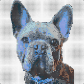 Frenchie - french bulldog,dog,animal,portrait