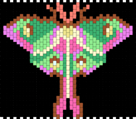 Pink Spirit Moth - moth,insect,winged,panel,black,pink,green