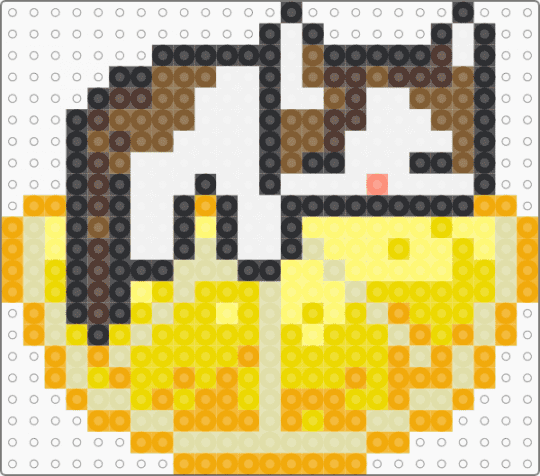 Lemon Kitty - orange, yellow