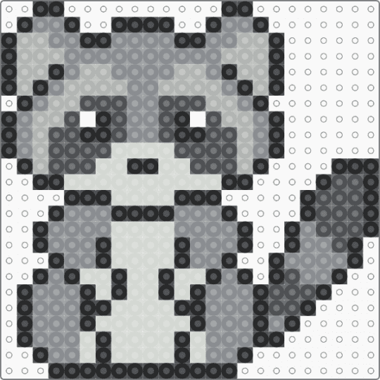 RACOON - gray