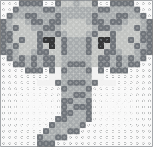ELEPHANT - 