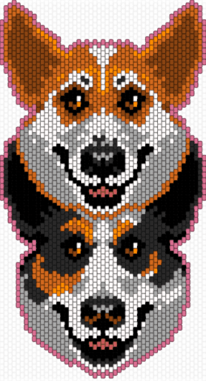 Two Corgis - orange,beige,dog,corgi,pet,cute