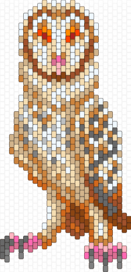 Barn Owl - beige,orange,bird,barn owl,owl,nature
