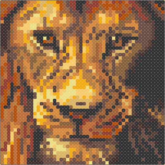 Lion Portrait 50x50 - orange,brown,tan,lion,jungle,portrait,animal portrait