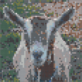 Goat - goat,animal,rustic,farm,countryside,tranquil,stoic,portrait,mammal,grey