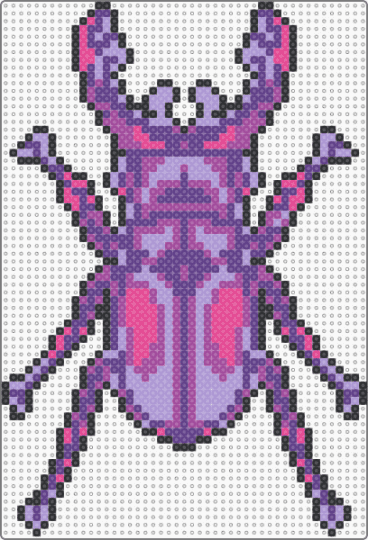 Berry beetle - purple,pink,bug,beetle