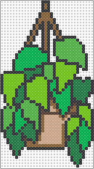 Simple hanging plant - green,plant