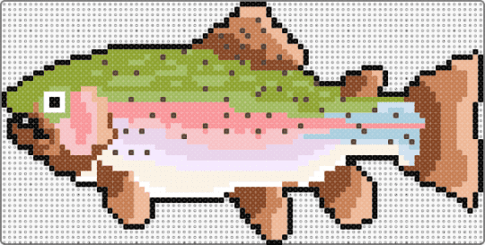 Trout - beige, brown, fish, green