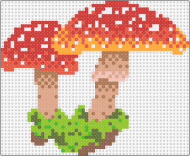 Amanita Mushroom - amanita mushrooms,fungus,nature,forest,outdoors,earthy,dotted,red