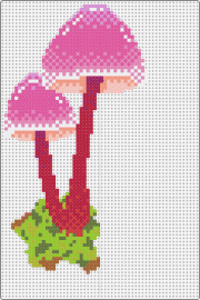 Pink Mushrooms - mushrooms,fungus,nature,forest,whimsical,enchanting,pink,outdoors,magic