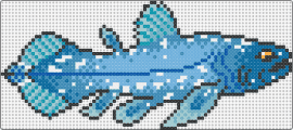 Coelacanth Fish - coelacanth,fish,animal,ancient,marine,prehistoric,living fossil,oceanic,blue