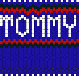 Tommy 2 - tommy hilfiger,panel