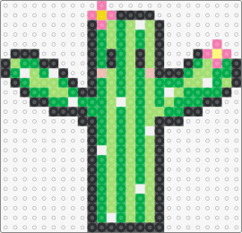 Cactus that my little sister made :p - cactus,cute