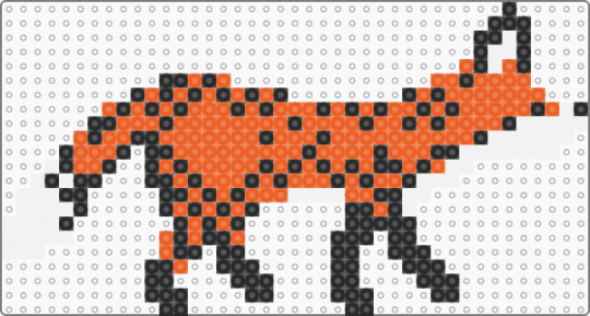 Foxes!!🦊