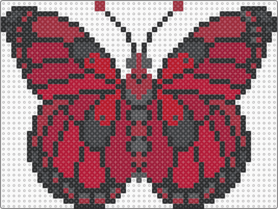 Black and red butterfly - butterfly,insect,moth,animal,red